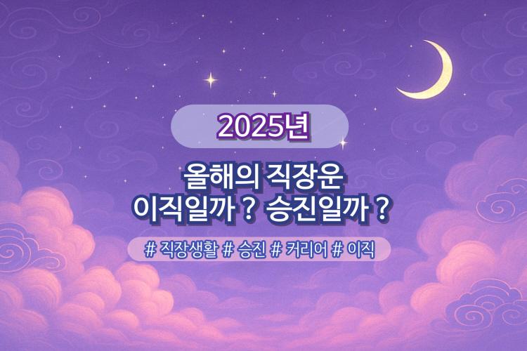 초하루 상품